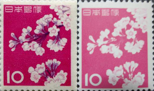 ソメイヨシノ10円切手